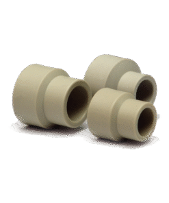 Cút Thu ( Côn Thu )