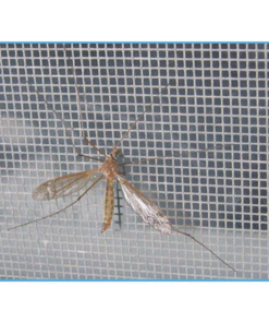 Cửa Sổ Mở Trượt Có Mành Chỗng Muỗi